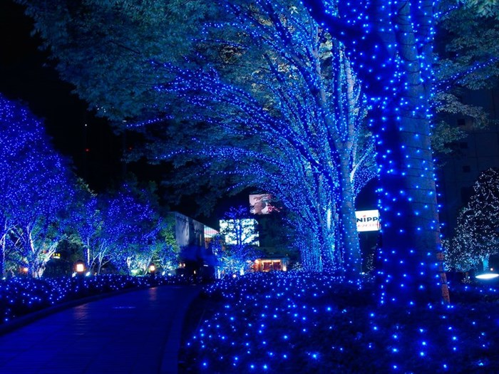 Гирлянда уличная для деревьев клип-лайт, светодиодная, дерево с подсветкой, 5 лучей по 20м 1000 светодиодов  IP44 динамичное свечение синий свет, украшение на Новый Год - фото 1213436