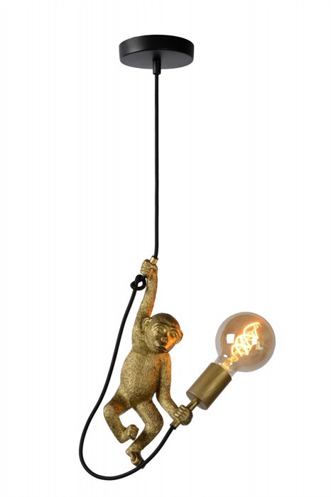 Подвесной светильник Extravaganza Chimp 10402/01/30 - фото 1811214