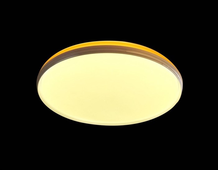 Настенно-потолочный светильник CW1L 000021513 melody_000021513 - фото 1980492