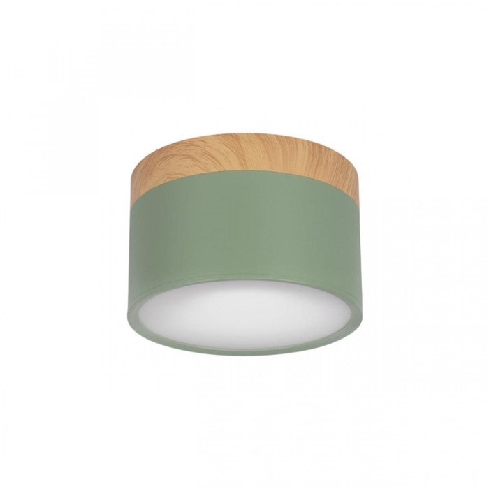 Точечный светильник Grape 10162 Green lfy_10162_green - фото 2057020