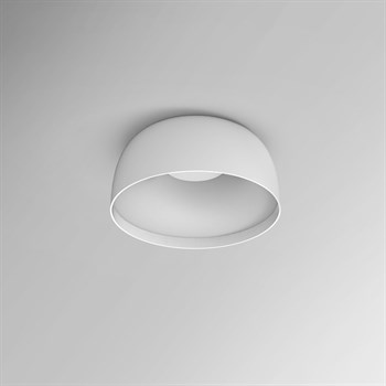 Настенно-потолочный светильник  BRIM01 - фото 2064951