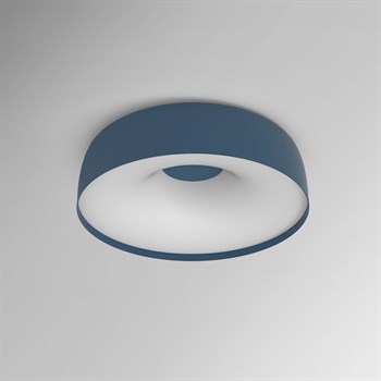 Настенно-потолочный светильник  BRIM01 - фото 2064954