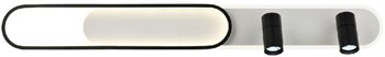 Настенно-потолочный светильник Planar 4076-2C - фото 2117998
