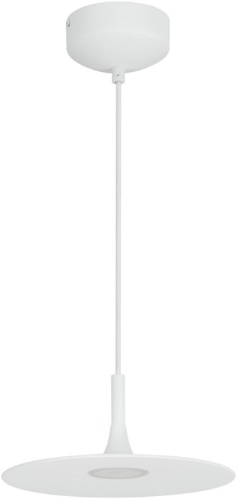 Подвесной светильник FIORE 035953 arlight_035953 - фото 2130652