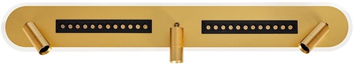 Спот Pisces A2220PL-3GO artelamp_a2220pl-3go - фото 2166329