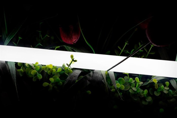 Гибкий неон 360 SWG-2360-24-NW-66 swg_swg-2360-24-nw-66 - фото 3314248