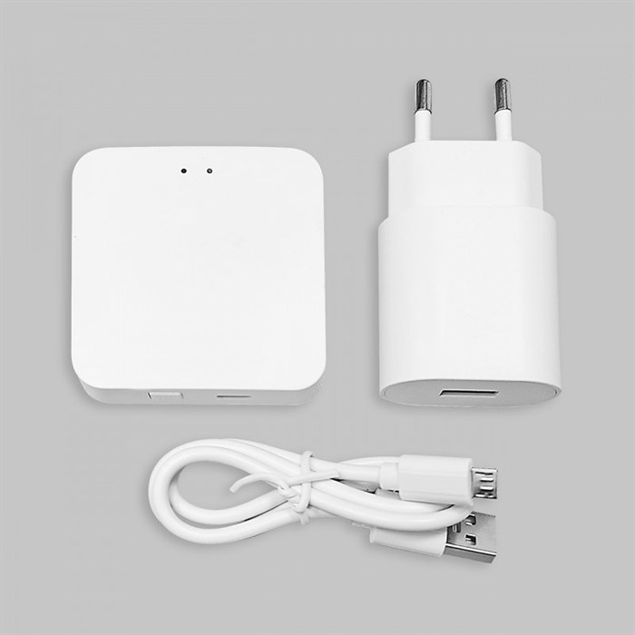 Wi-Fi конвертер Smart Line IL.0050.7000-WH - фото 3460863