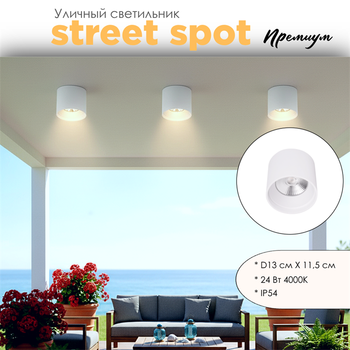 Уличный потолочный светодиодный светильник накладной влагозащищенный 13*11см IP54 24Вт 4000К белый WC1404-White - фото 4882696