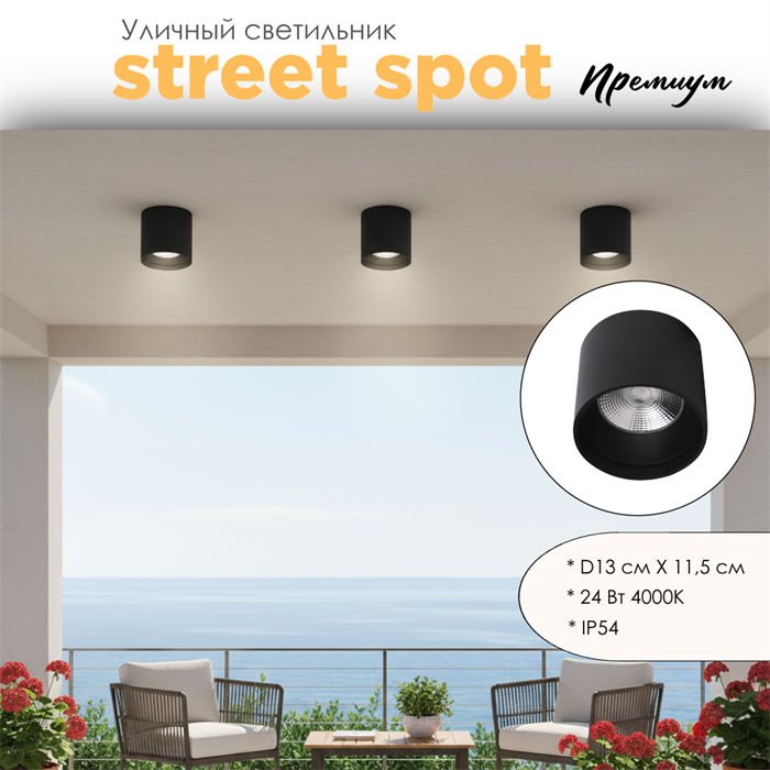 Уличный потолочный светодиодный светильник накладной влагозащищенный 13*11см IP54 24Вт 4000К черный WC1404-Black - фото 4882697