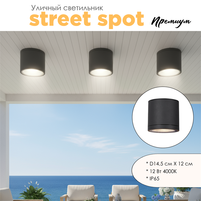 Уличный потолочный светодиодный светильник накладной влагозащищенный 14.5*12см IP65 12Вт 4000К черный WC3374-Black-4000 - фото 4882725