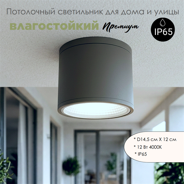 Уличный потолочный светодиодный светильник накладной влагозащищенный 14.5*12см IP65 12Вт 4000К серый WC3374-Grey-4000 - фото 4883987