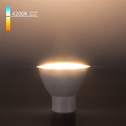 Лампочка светодиодная  BLGU1003