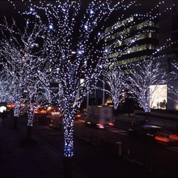 Гирлянда уличная для деревьев клип-лайт, светодиодная, дерево с подсветкой, 5 лучей по 20м 1000 светодиодов  IP44 динамичное свечение белый свет, украшение на Новый Год