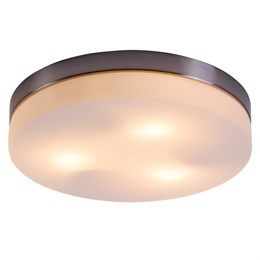 Потолочный светильник Opal 48403