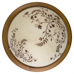 Настенно-потолочный светильник Irene TL9630Y-00OA toplight_tl9630y-00oa