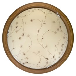 Настенно-потолочный светильник Karissa TL9650Y-00OA toplight_tl9650y-00oa