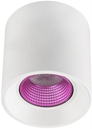 Точечный светильник  DK3090-WH+PI