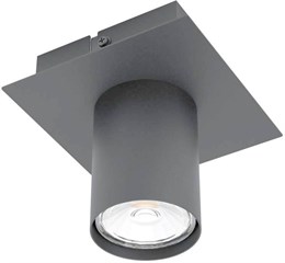 Потолочный светильник Valcasotto 99514