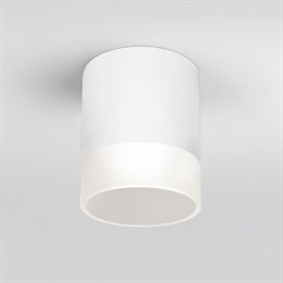 Потолочный светильник уличный Light LED 35140/H белый