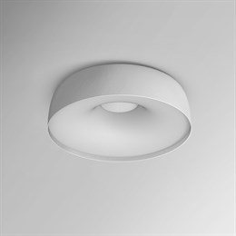 Настенно-потолочный светильник  BRIM01