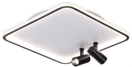 Потолочный светильник Comfort FL5115