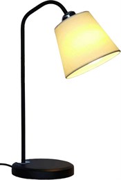 Интерьерная настольная лампа TL2N 000059614