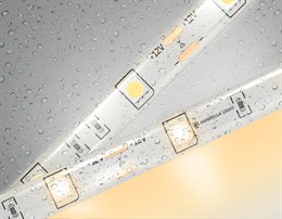 Светодиодная лента Illumination GS1901