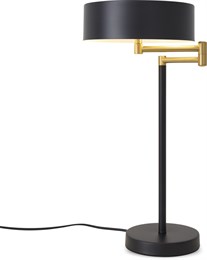 Интерьерная настольная лампа Izza FR4008TL-02BBS
