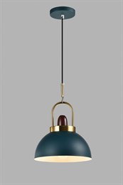 Подвесной светильник Ravenna V10448-1P