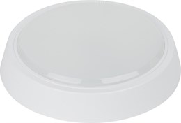 Настенно-потолочный светильник  SPB-301-0-4K-10 era_spb-301-0-4k-10