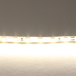 Светодиодная лента Lightstar 420504