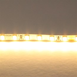 Светодиодная лента Lightstar 420503