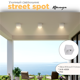 Уличный потолочный светодиодный светильник накладной влагозащищенный 13*11см IP54 24Вт 4000К белый квадрат WC1405-White