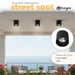 Уличный потолочный светодиодный светильник накладной влагозащищенный 13*11см IP54 24Вт 4000К черный WC1404-Black