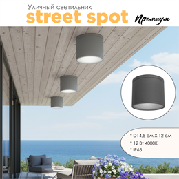 Уличный потолочный светодиодный светильник накладной влагозащищенный 14.5*12см IP65 12Вт 4000К серый WC3374-Grey-4000