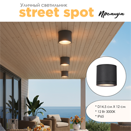 Уличный потолочный светодиодный светильник накладной влагозащищенный 14.5*12см IP65 12Вт 2700К черный WC3374-Black-2700