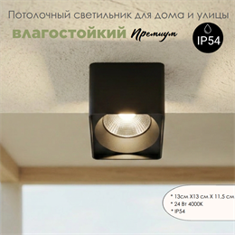 Уличный потолочный светодиодный светильник накладной влагозащищенный 13*11см IP54 24Вт 4000К черный квадрат WC1405-Black
