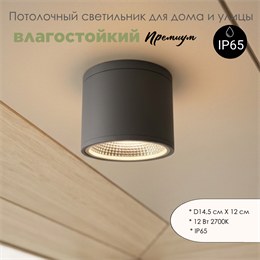 Уличный потолочный светодиодный светильник накладной влагозащищенный 14.5*12см IP65 12Вт 2700К черный WC3374-Black-2700