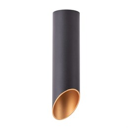 Точечный светильник Pilon-gold A1535PL-1BK artelamp_a1535pl-1bk