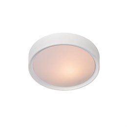 Настенно-потолочный светильник Lex 08109/01/31