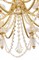 Подвесная люстра Zoe FR2009PL-07G freya_fr2009pl-07g - фото 1376917