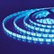 Светодиодная лента  Лента светодиодная 12V 4,8W 60Led 2835 IP65 синий, 5м - фото 1587209