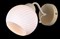 Бра Скандинавская классика 75146/1W BEIGE GOLD natali-kovaltseva_75146_1w_beige_gold - фото 1784897