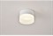 Точечный светильник Firenze OML-103109-05 - фото 1791908