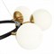 Подвесная люстра Forli SLE220403-08 evoluce_sle220403-08 - фото 1804279