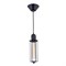 Подвесной светильник Эдисон CL450202 - фото 1811759