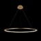 Подвесной светильник Ring 10014L lfy_10014l - фото 1816235
