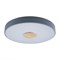 Потолочный светильник Axel 10003/24 Grey - фото 1826027