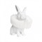 Ночник Bunny 10117/C lfy_10117_c - фото 1834651