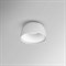 Настенно-потолочный светильник  BRIM01 - фото 2064939
